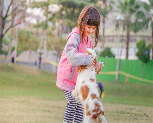 开奖了!取12成12,这成功率绝了!,代孕产子公司是合法的吗