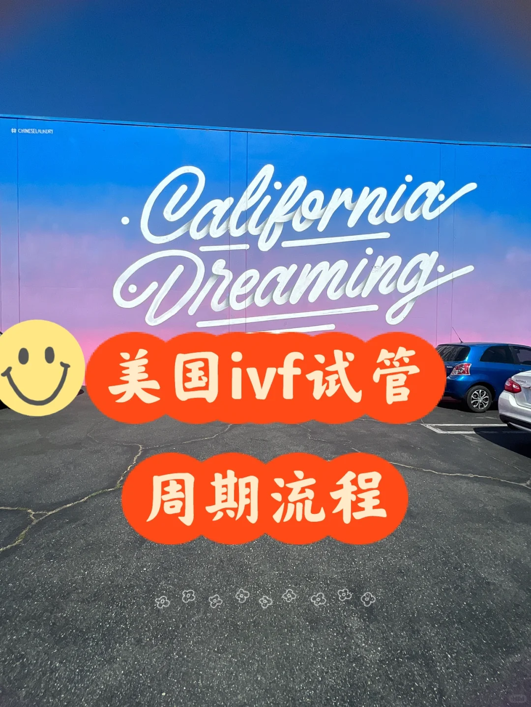 🇺🇸ivf｜关于在美国做试管的详细流程🔎,代生试管中心