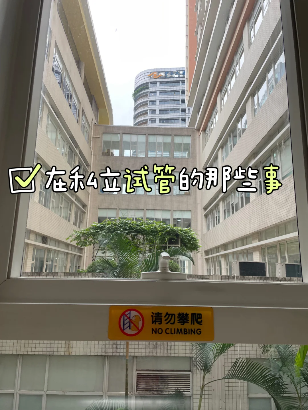 我的成都试管助孕真实分享：从迷茫到希望的历程