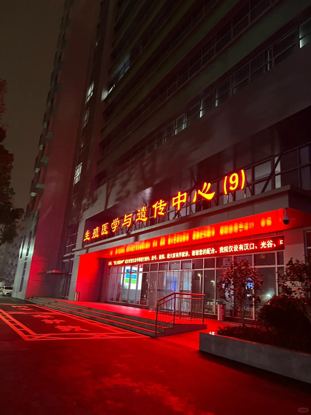 同济试管（七）,国内供卵的流程&代孕中心那里比较好