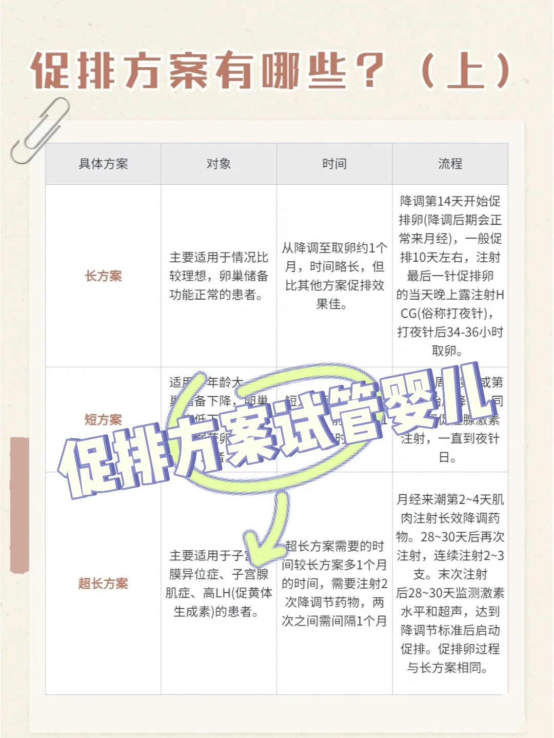 试管婴儿促排方案,供卵代孕生孩子医院