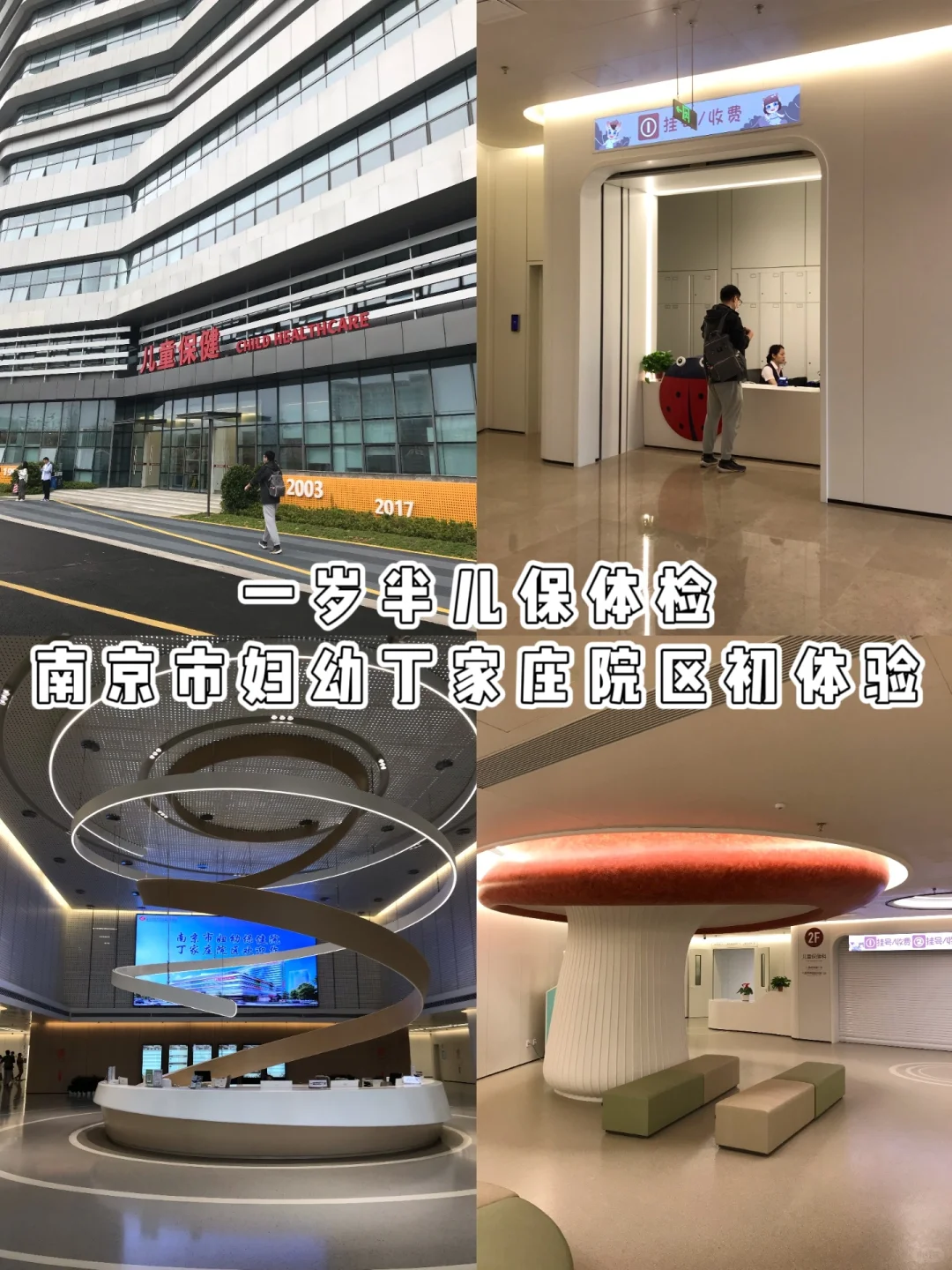 成都试管助孕深度解析：18个月宝宝成长发育与辅助生殖指南