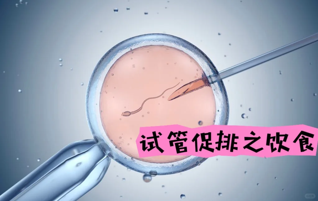试管促排期间的饮食秘诀：助孕与健康